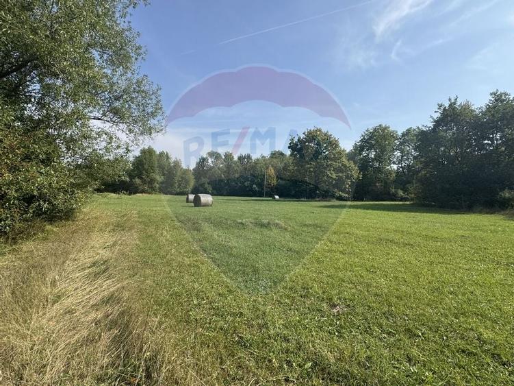 Teren 10.000 mp Calatele - Apuseni, langa rau, ideal investie turism - 9