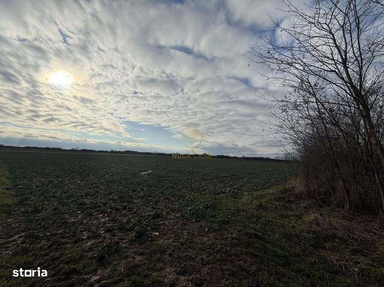 Teren 6600MP Cu Front Stradal 101 M La Intrare in Lazuri Str Botizului - 8