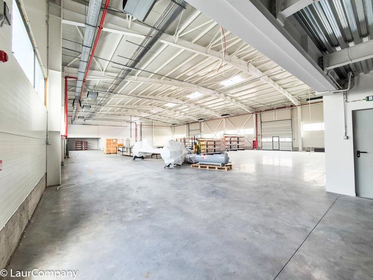 Hale,spatii industriale Albota,Pitesti Arges - 7