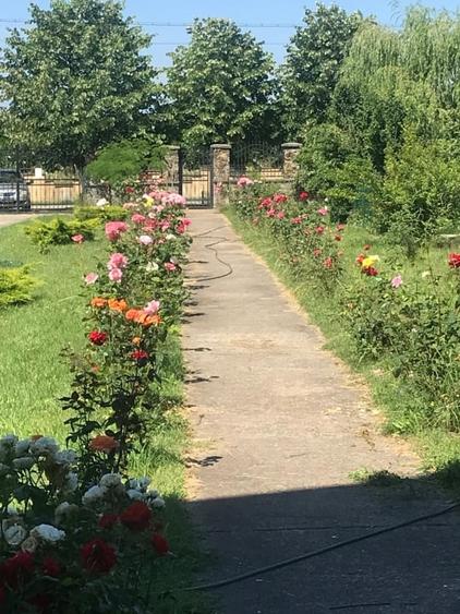 Casă individuală cu 7 camere cu Garaj în Crasna