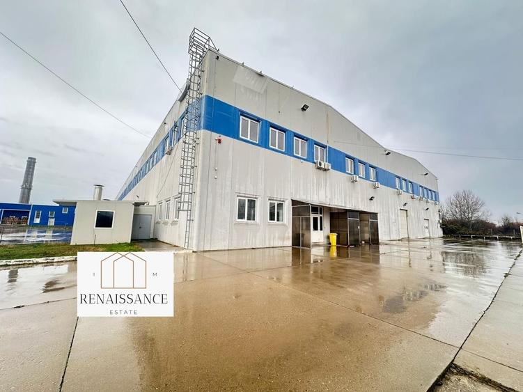 Hala Moderna 6200mp | Panouri Solare - Freidorf - Acces la Centura - 8