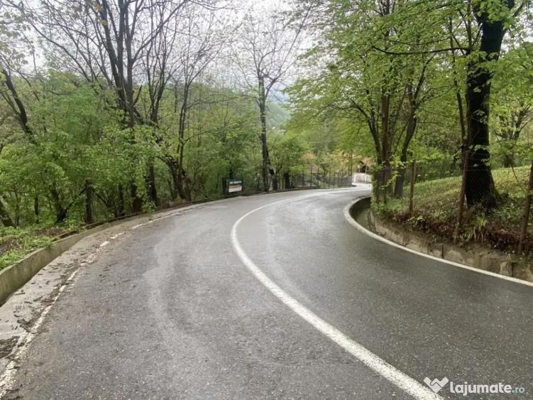 Teren intravilan, 900 (mp), zona Cornu de sus - 6