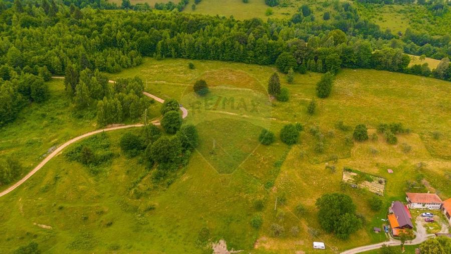 Teren Parcul National Bucegi/Str Glajarie Rau Mare/Panicel/Sohodol - 8