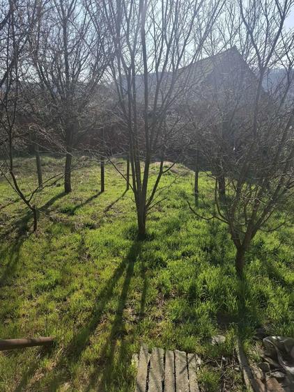 Casa la tara in Ludos jud. Sibiu - 1