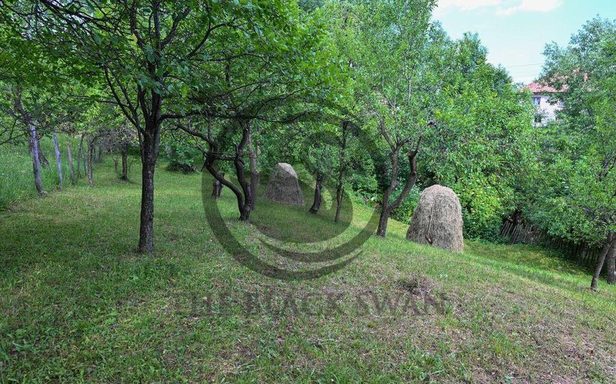 Casa 4 camere de vanzare | Zona linistita | Talea Prahova... - 6