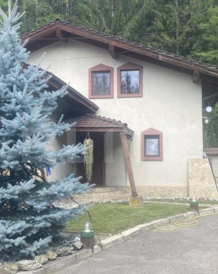 Vila in stil elve?ian Campulung Moldovenesc, 155 mp - 8