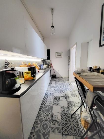 Apt 155mp in cladire monument istoric - Bd. Dacia - 4