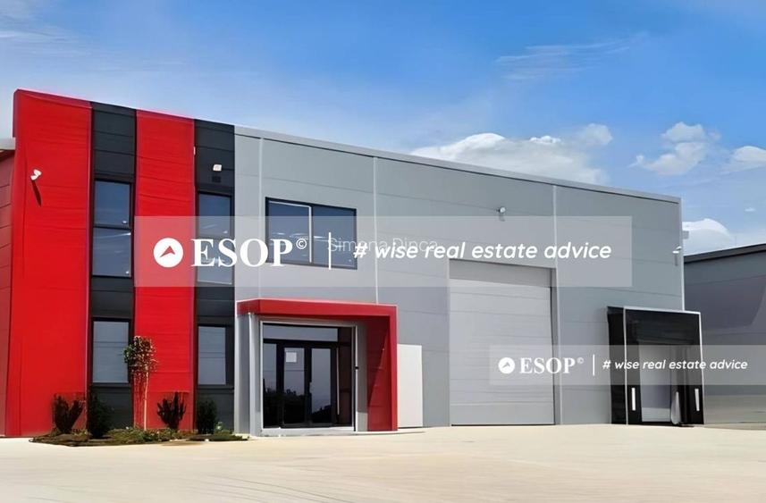 Spatii industriale premium, DNCB, Chiajna, Chitila, Rudeni ID 15426.2