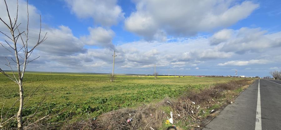 Teren intravilan 3,7 ha in Vama Veche, deschidere la DN39, la 300 ml de granita - 3