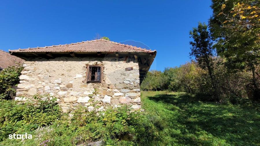 Casa din piatra la poalele Bedeleului Izvoarele, Alba - 14