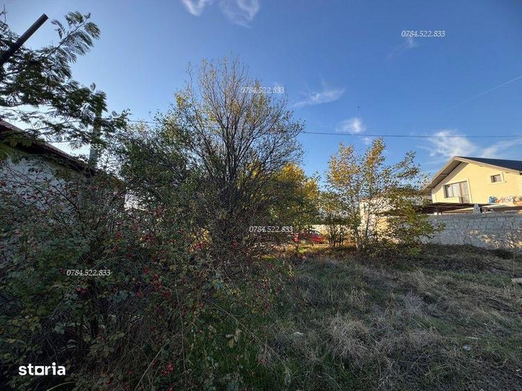 Teren intravilan + curent electric bransat in comuna Berceni IF - 2