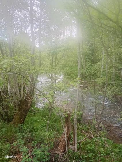 Vand casa ,zona Mun?ilor Apuseni !!! - 1
