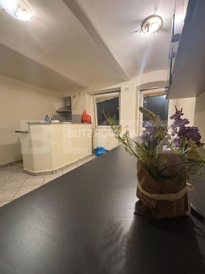 Spatiu amenajat, 43 mp, zona Balcescu