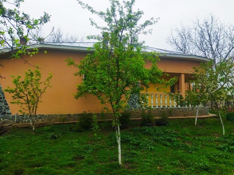 Casă Scrioaștea Cucueți lângă Roșiorii de Vede 200 mp teren 3000 mp - 7