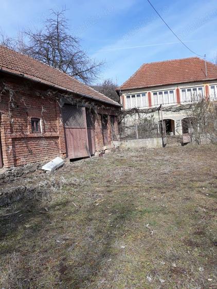 Casa + anexe + teren 4.4hectare (arabil, fine?e si padure) in Valioara - 4