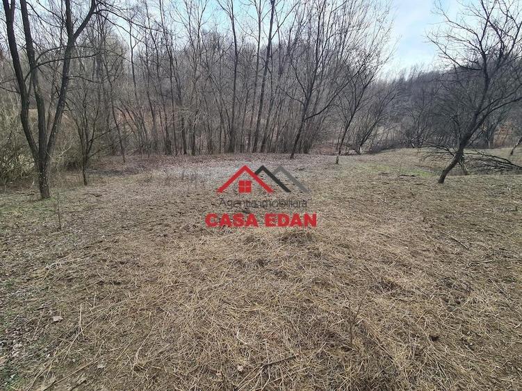 Teren extravilan in Provita--3448mp-12.000e - 1