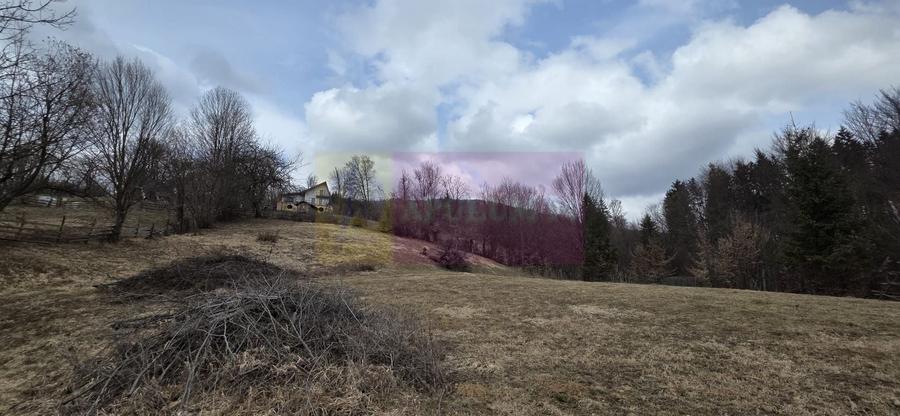 Teren intravilan de vanzare in Valea Doftanei - 1