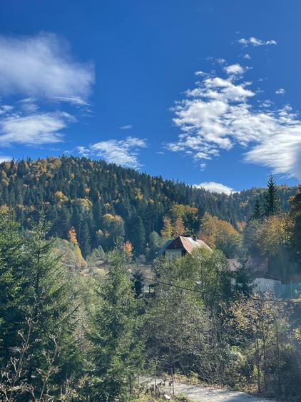 Teren intravilan Predeal - 3