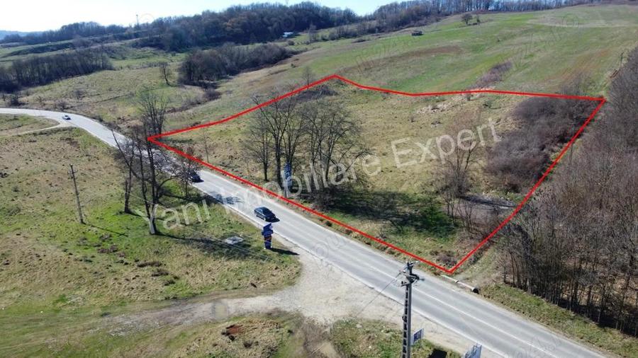 Teren 10.000 mp de vanzare in comuna Valea Ia?ului, jude? Arge?. - 2