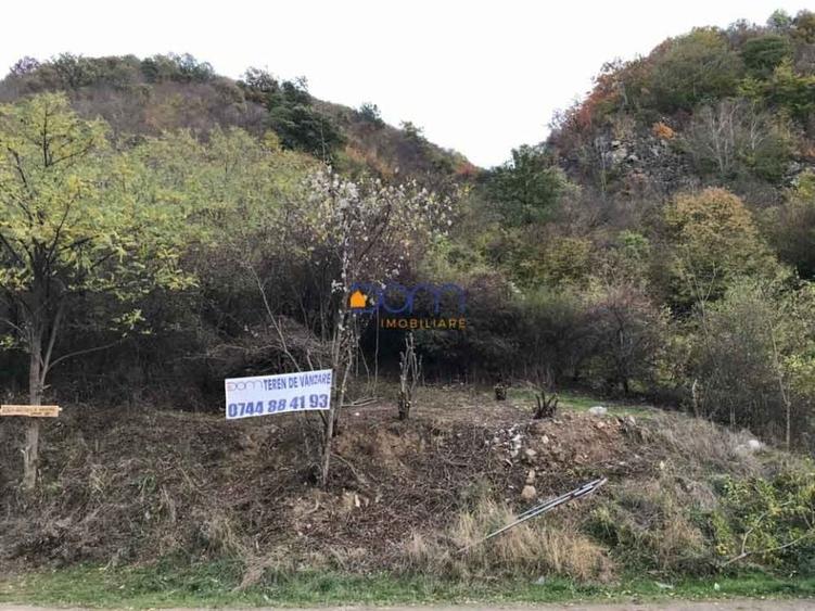 Teren intravilan Baile Herculane - 1