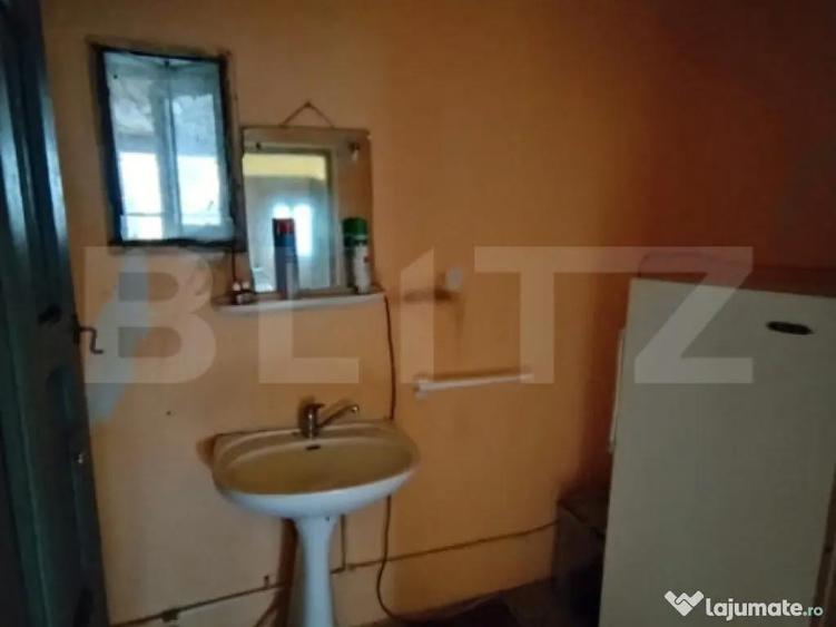Casa de vanzare 800 mp curte, 32 mp utili, Bratovoe?ti - 4