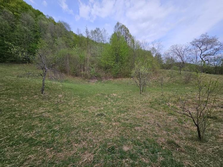 Teren intravilan 1454 mp la marginea padurii zona locuita de case! - 10