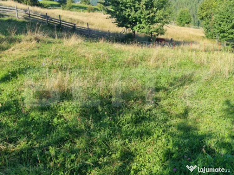 Teren intr-o zona superba din Campulung Moldovenesc - 6