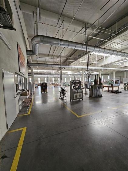Spatiu Industrial - 6500 mp - Productie - Depozitare - Distributie - 5
