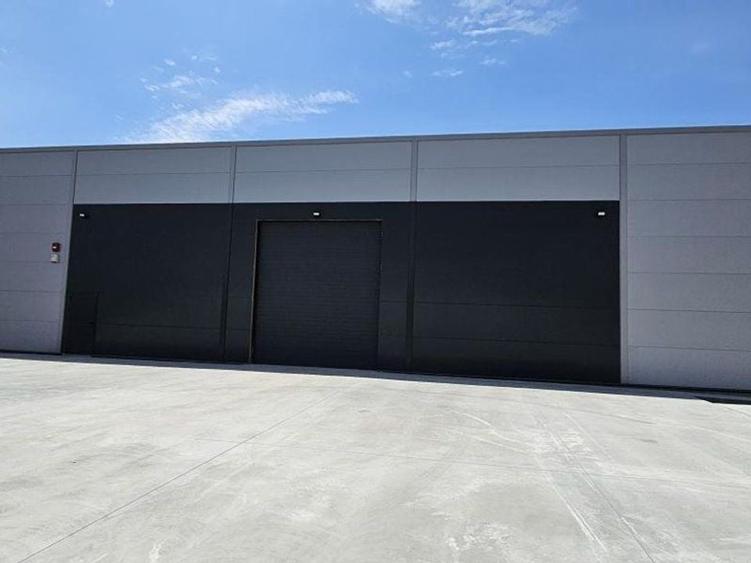 Pantelimon DN3 hala 600 mp - 1