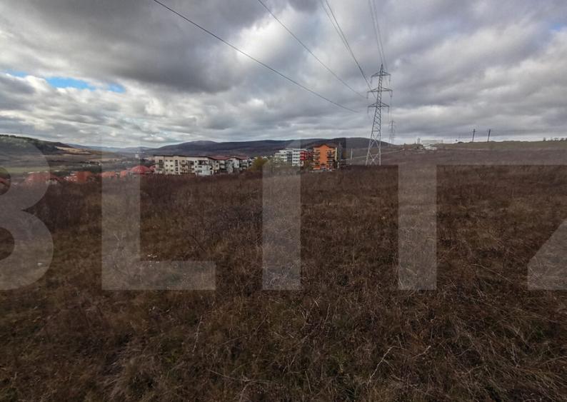 Teren de investitie 4642 mp in zona Strazii Cometei din Baci - 4