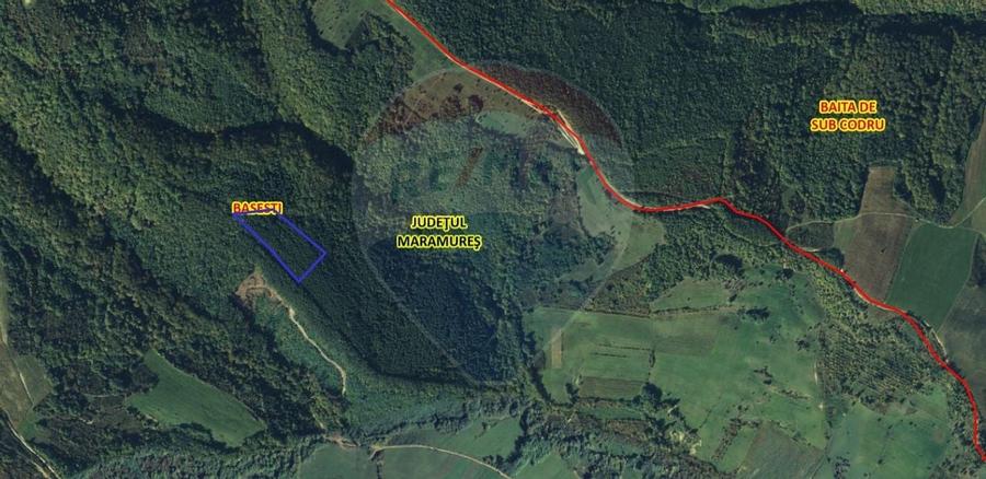 Pădure de vanzare cu zona de cabană Odesti - 4