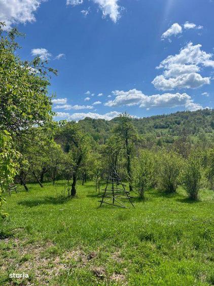 Teren 1200 mp + Casa - Comuna Arefu - 4