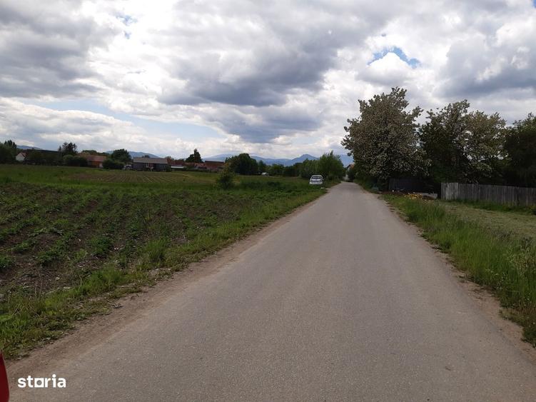 Vand teren intravilan construibil utilitati si asfalt, bine pozitionat - 4
