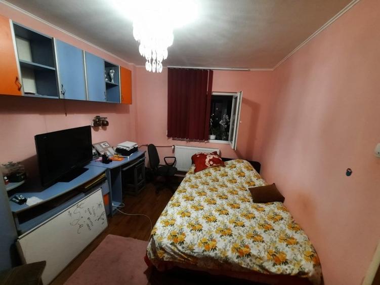 Lacul Tei, stradal, aproape Parcul Circului - 11