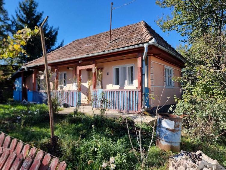 De Vanzare Casa individuala + Teren extravilan Comuna Raciu ,Sat Ulies - 3