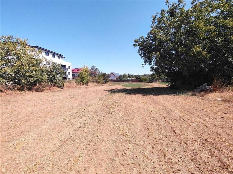 VANZARE TEREN INTRAVILAN  MAGURELE  2530 mp zona CODRULUI - 2