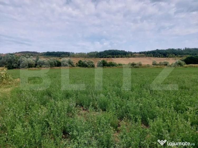 De vanzare teren Fundatura 27500mp - intravilan - 3