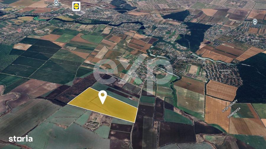 Oportunitate dezvoltare Corbeanca / Ostratu, PUZ aprobat - 1