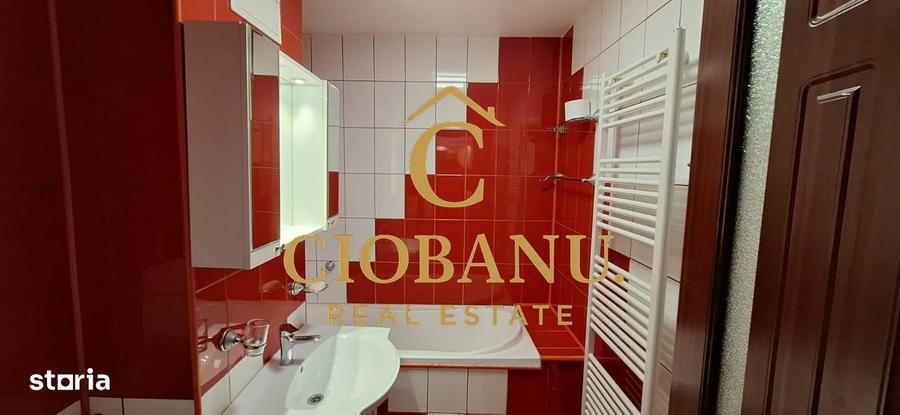 Apartament etaj 1/4 cu 2 camere zona Brazda de inchiriat - 8