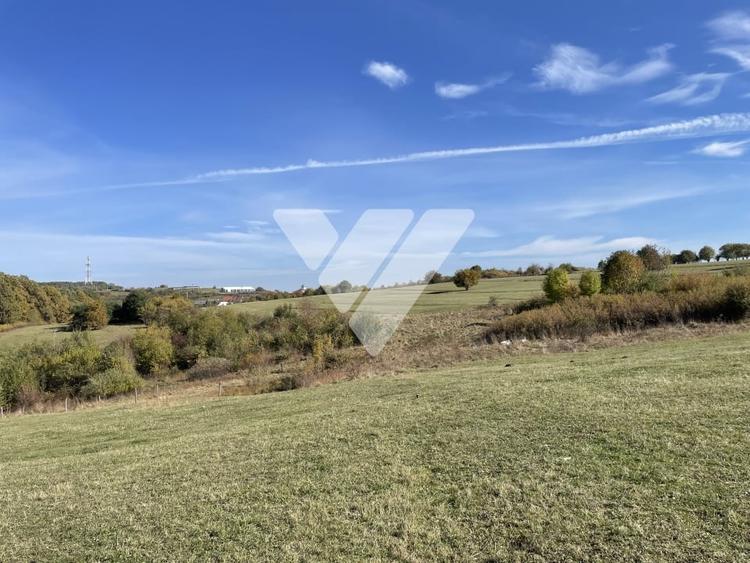 Teren extravilan 1342 mp zona linistita – Rasinari - Sibiu - 8