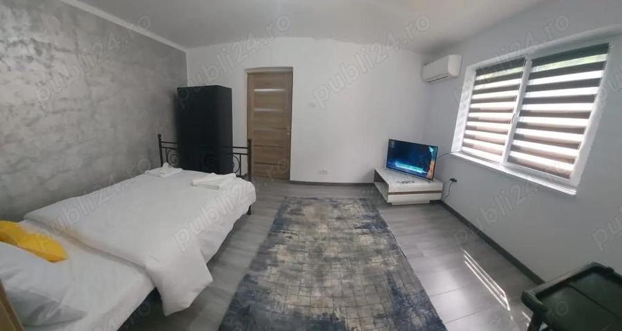 Apartament Baile Herculane - 5