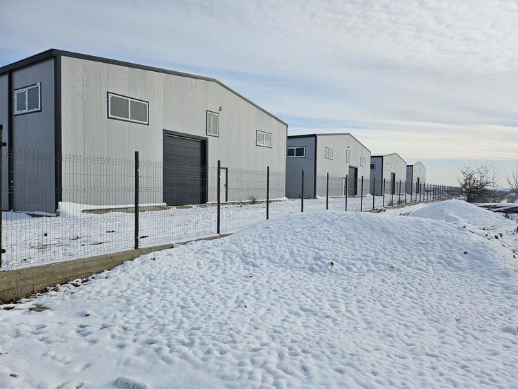 Hale noi 2026 AFUMATI ( Moara Domneasca ) 2300 Euro - 1