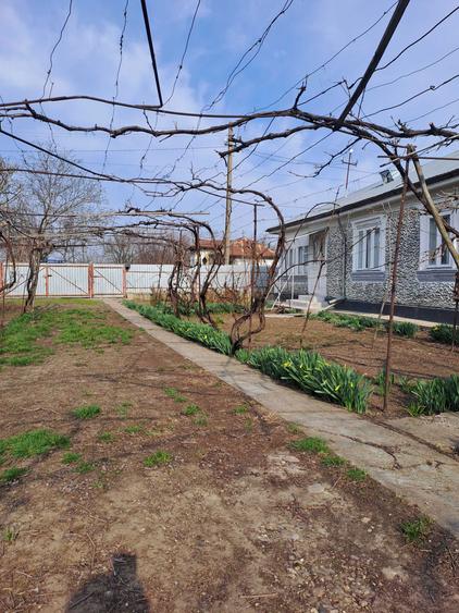 Casa Bordesca Noua - 6