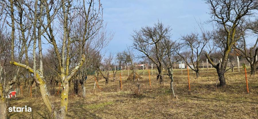 Teren Intravilan 43Ari zona Ortelec-Zalau intre case 4800eur/ar - 6