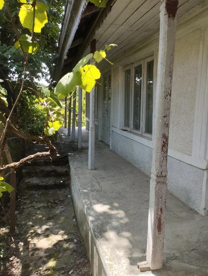 Teren cu casa batraneasca Magura, Bacau - 6