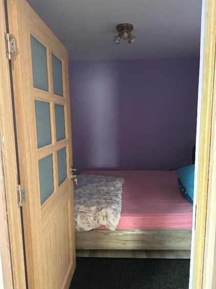 Proprietate cu 2 case in Gura Văii– la doar 10 km de Dr. Tr. Severin - 2