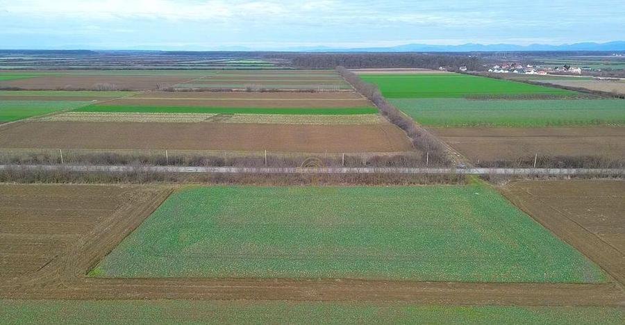 Teren 6600MP Cu Front Stradal 101 M La Intrare in Lazuri ... - 4