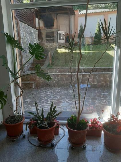 Casa Stefan-Sinaia,cu o capacitate de 14 spatii,inchiriaza pe o perioada indelungata. - 7