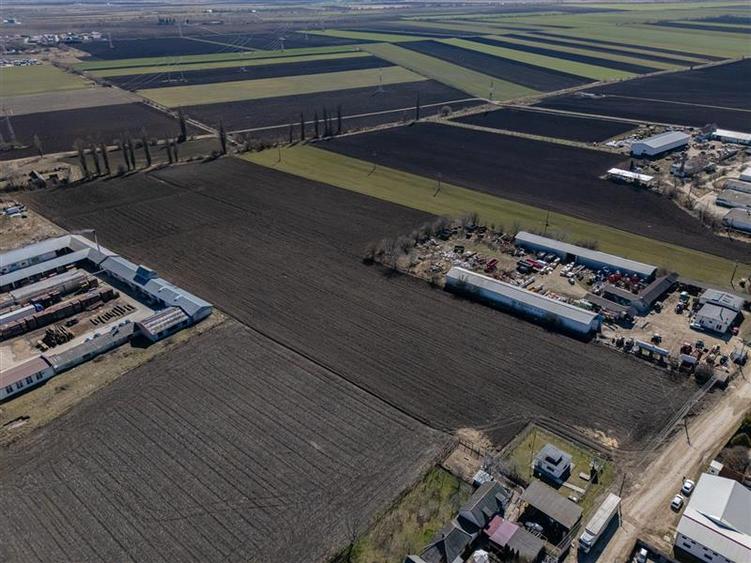 FILM! 30.000mp teren intravilan, Central, Halchiu, Brasov - 8