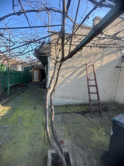 Teren MARE - case demolabile Coiciu - 5